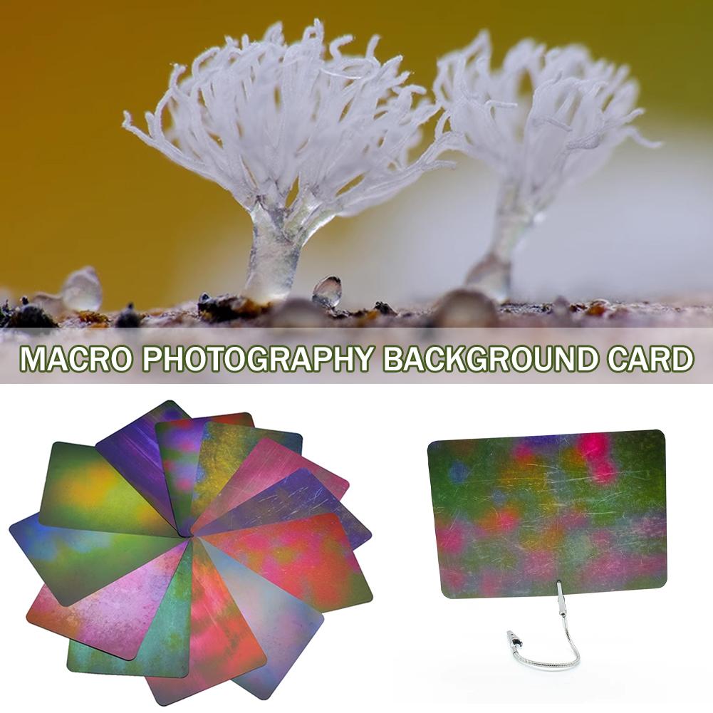 複数の色を備えたマクロ写真背景カード、光吸収素材、生態写真、 - Photography Lighting Material のレビューと価格