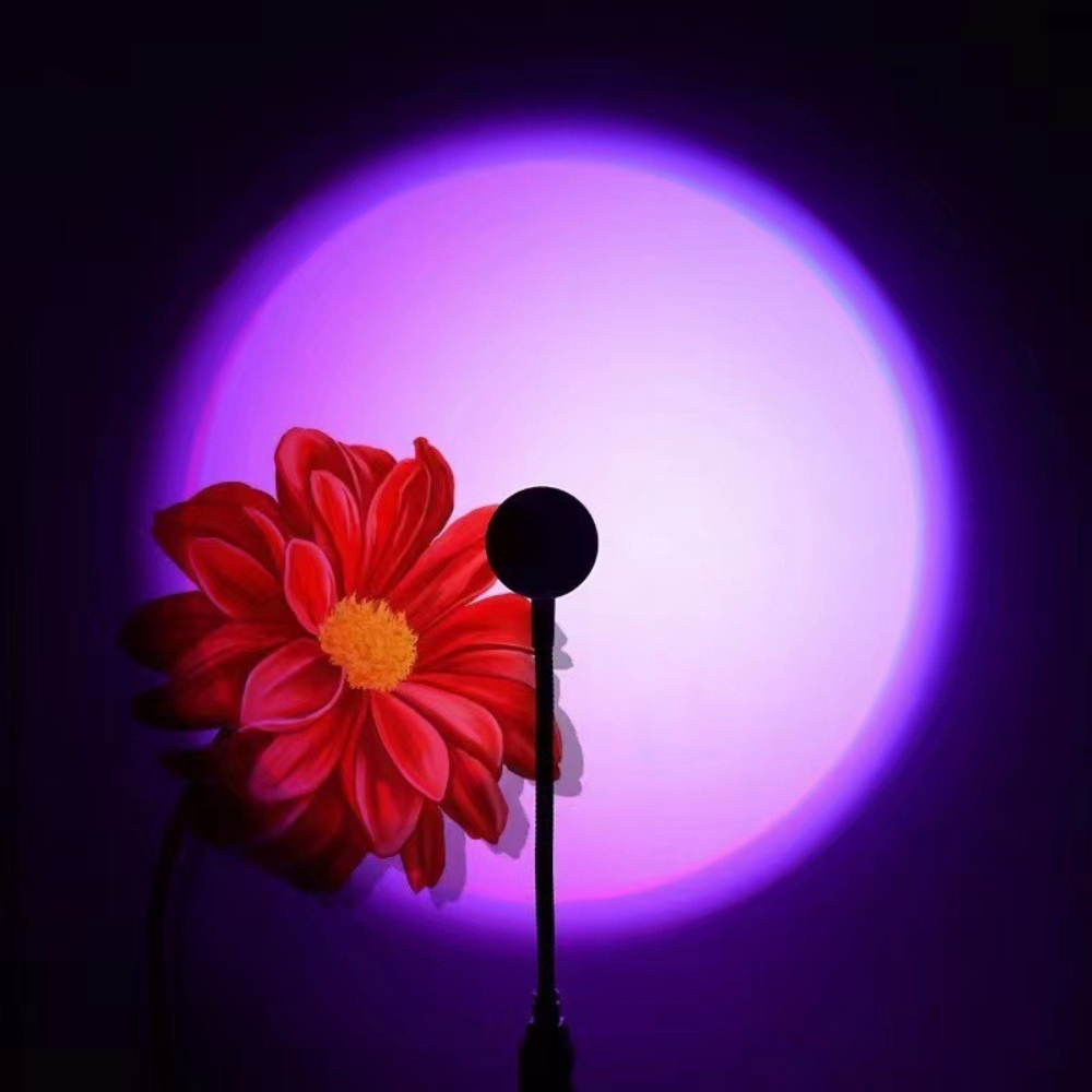 LED RGB サンセットプロジェクションランプ USB ム - Photography Lighting Mood のレビューと価格